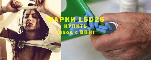индика Бугульма
