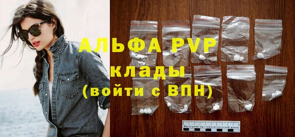 индика Бугульма
