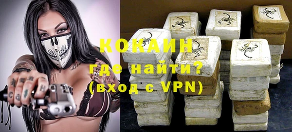 индика Бугульма