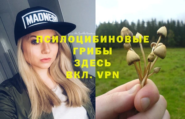 mdma Бородино