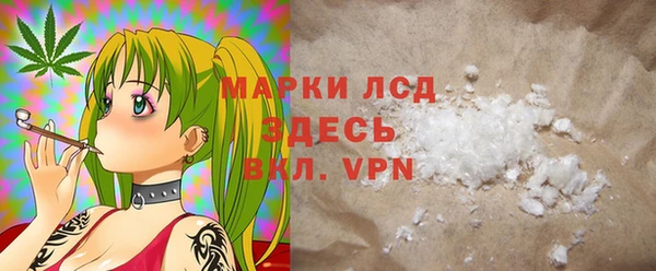 индика Бугульма