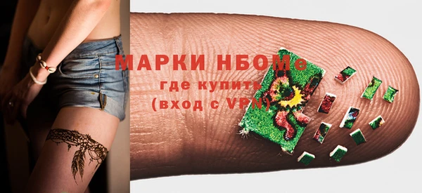 индика Бугульма