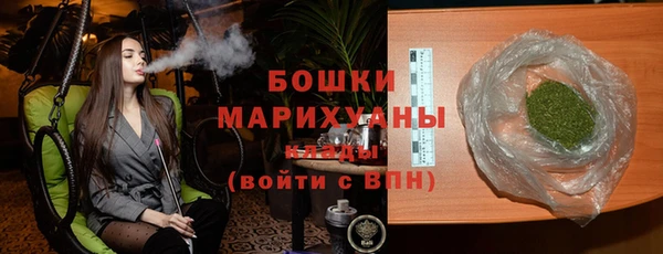 индика Бугульма