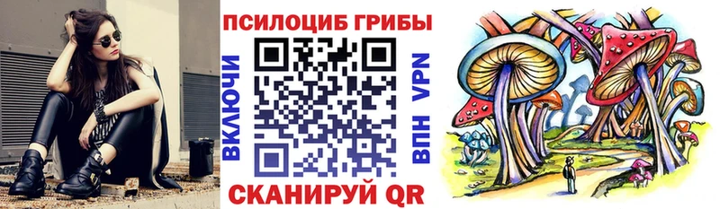 Галлюциногенные грибы Psilocybine cubensis  Купить где  Макарьев 